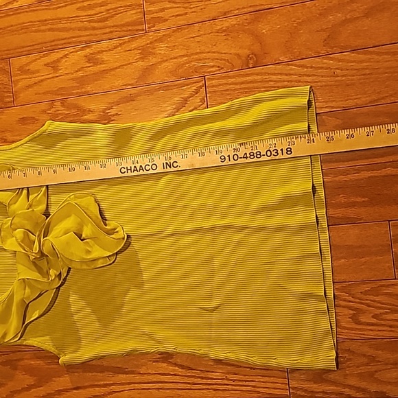 Womens ADRIENNE VITTADINI Sleeveless Sweater. Lime Green. Size Large. - Picture 3 of 8